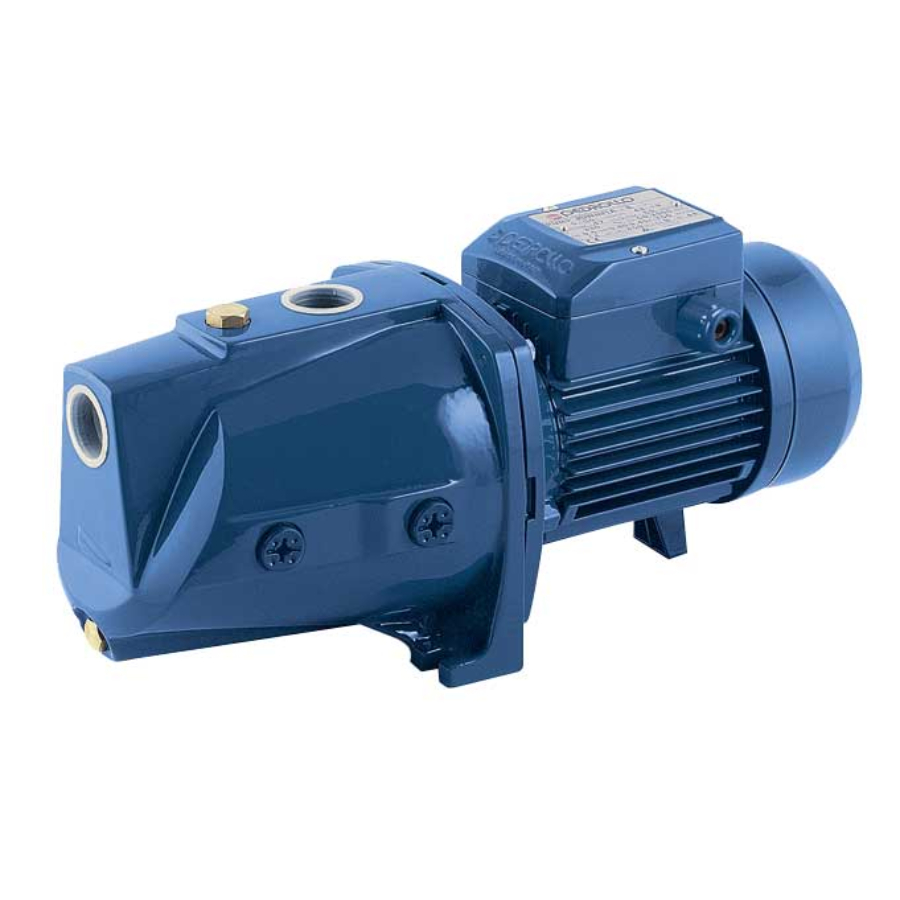 Фото Насос самовсасывающий Pedrollo JSWm 2A, артикул 46JSN7A15A1